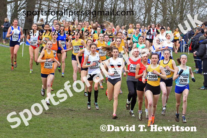 Womens Under-20s 2023 UK CAU Inter Counties Cross Country Champs, Prestwold Hall, Loughborough. Photo: David T. Hewitson/Sports for All Pics